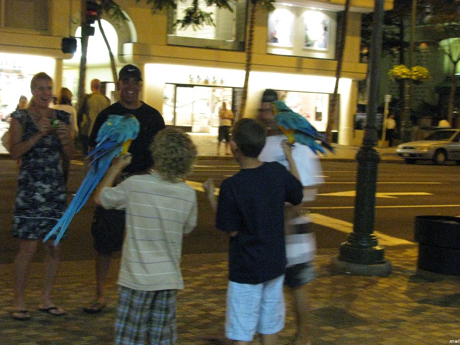 Voyage à Hawaii