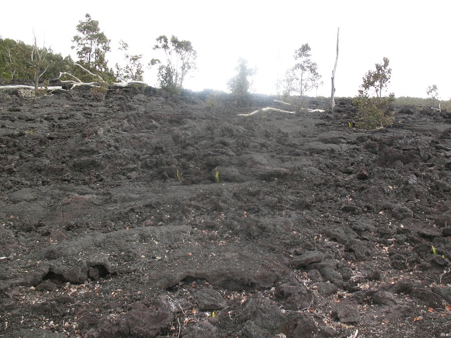 Visite des îles et des volcans de Big Island