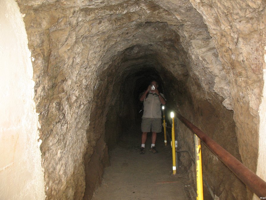 Visite du cratère Diamond Head