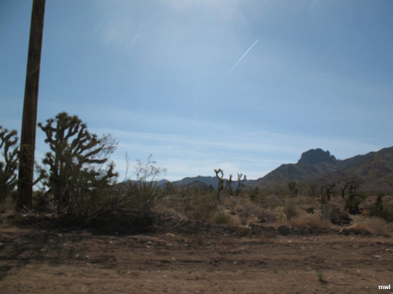 IMG 0843