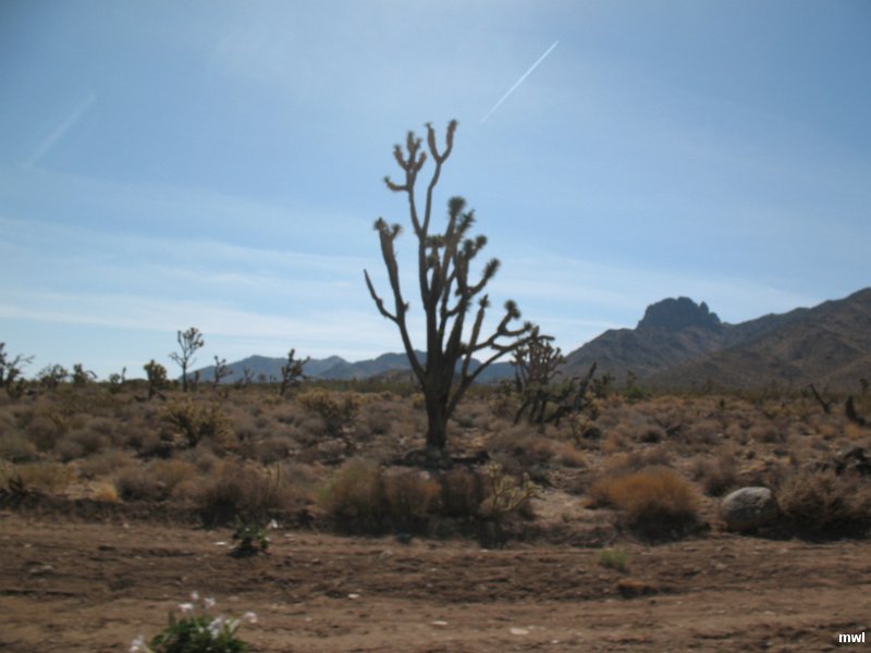 IMG 0844
