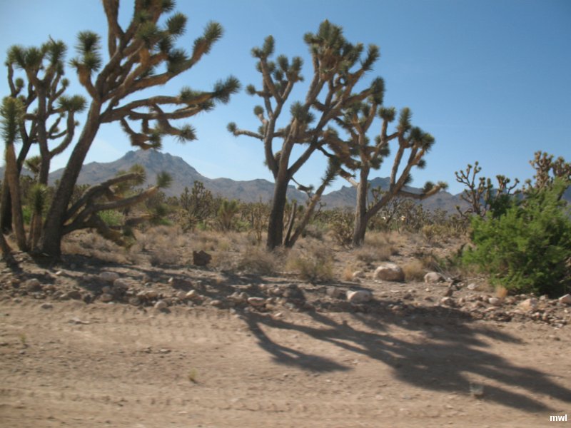 IMG 0846
