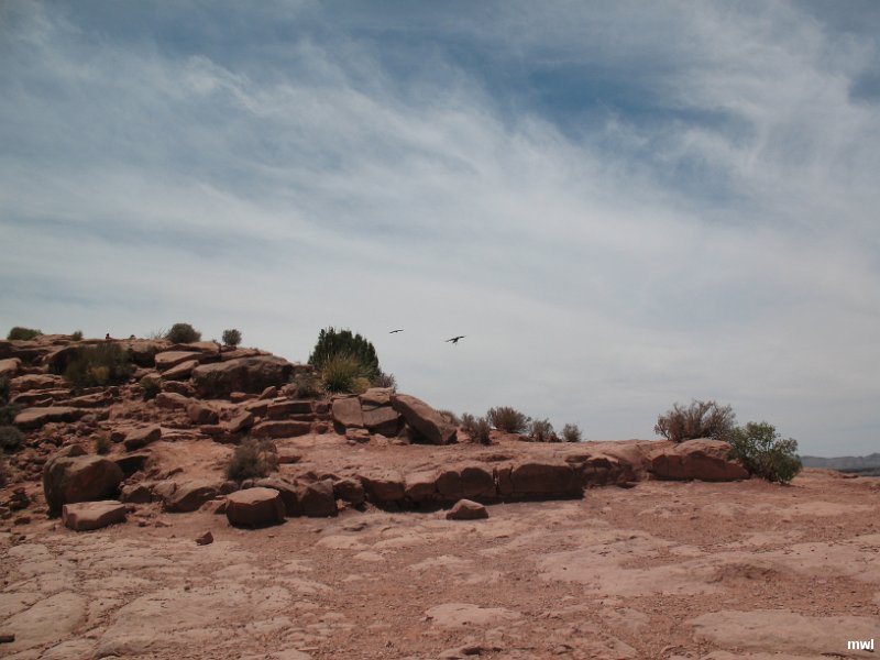 IMG 0925