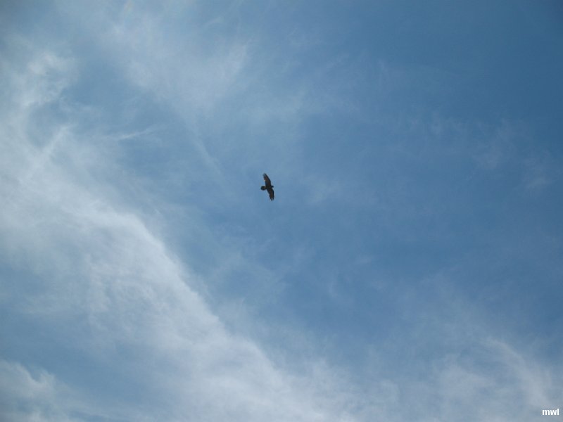 IMG 0926