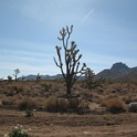 Dernier bout de chemin de terre vers West Grand Canyon