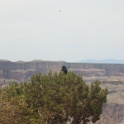Grand Canyon et rivière Colorado