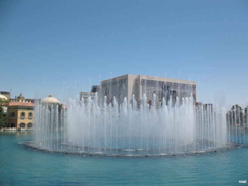 IMG 0818