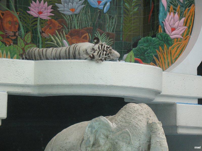 IMG 0988
