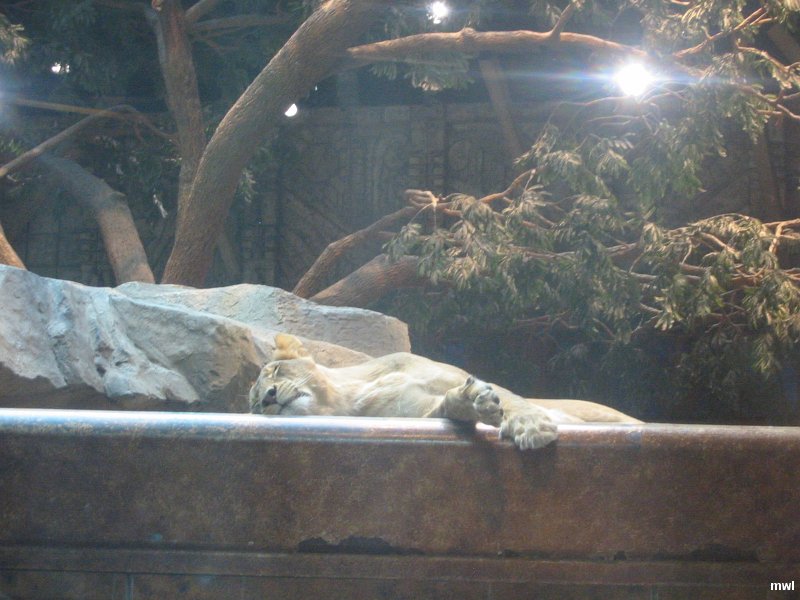 IMG 5712