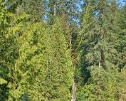 CB_20220728_092117