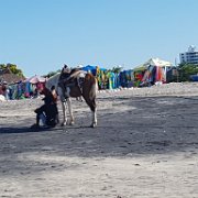 2018-03-03 08.43.02 Vacances au Panama 2-16 mars 2018