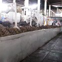 Mercado central de San Pedro