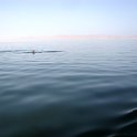 Iles Ballestas
