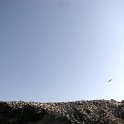 Iles Ballestas