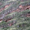 Visite des ruines et du village de Pisac
