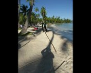 Chasseur de cocos